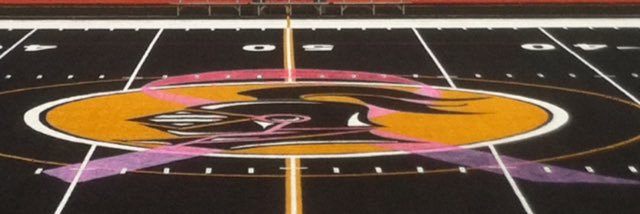 Lake-Lehman SD banner