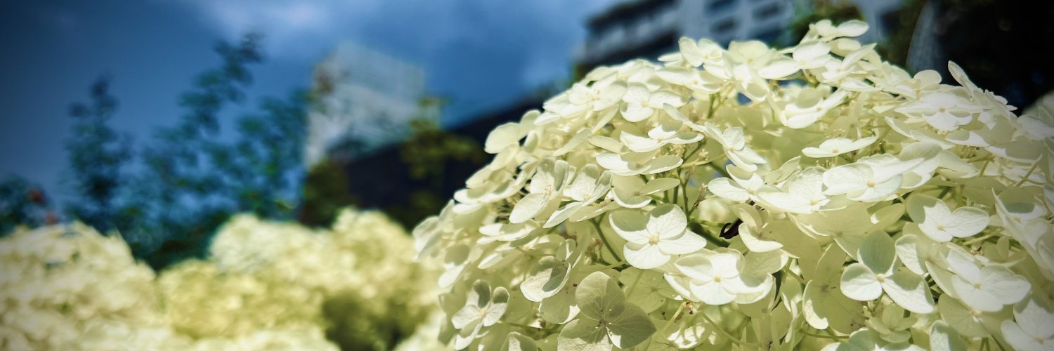 shin32t's profile banner image