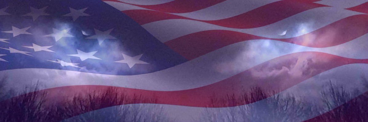 sheila covitz🦩🐸🇺🇸 banner