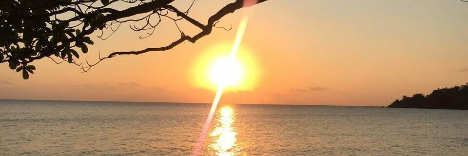 Carpediemnini's profile banner image