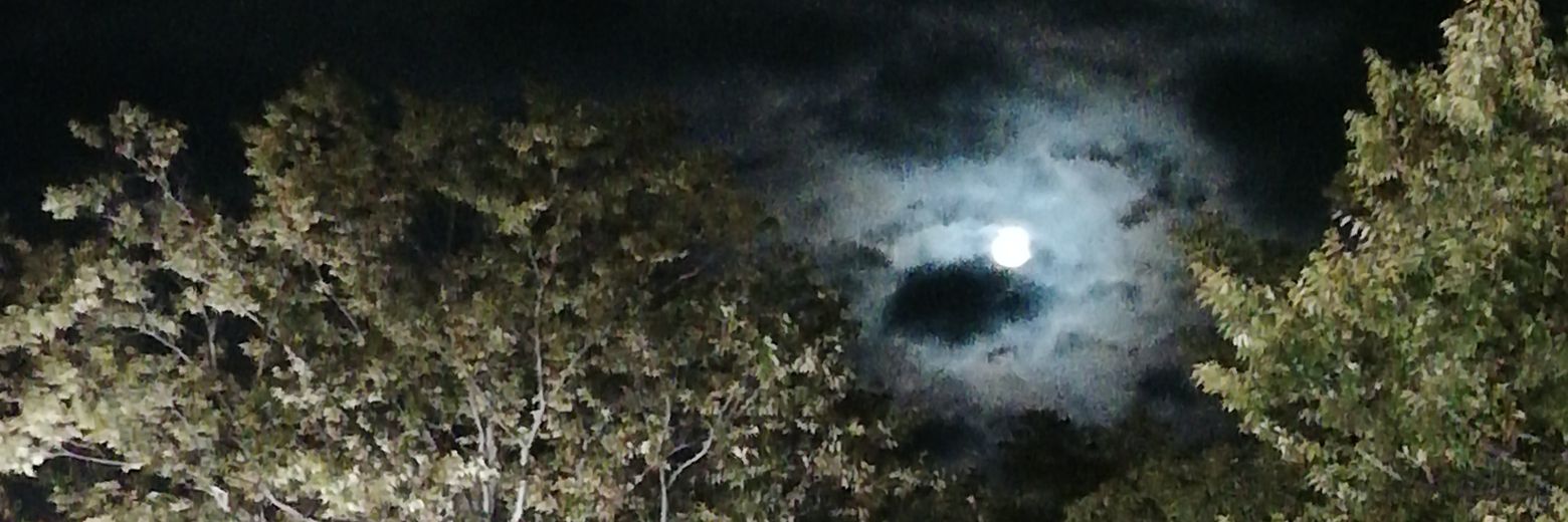 kpsmp's profile banner image