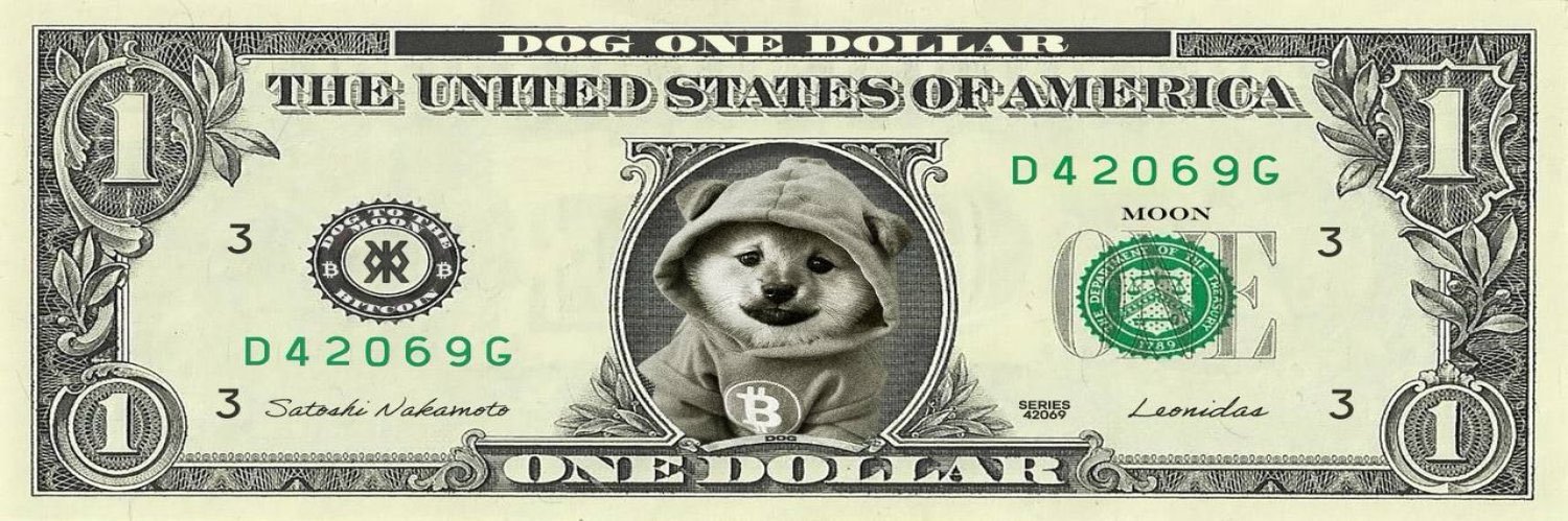 ᛤ Rayz ᛤ｜$DOG ｜₿｜ banner