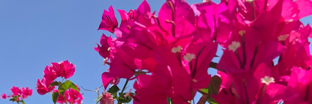 happysamsmile's profile banner image