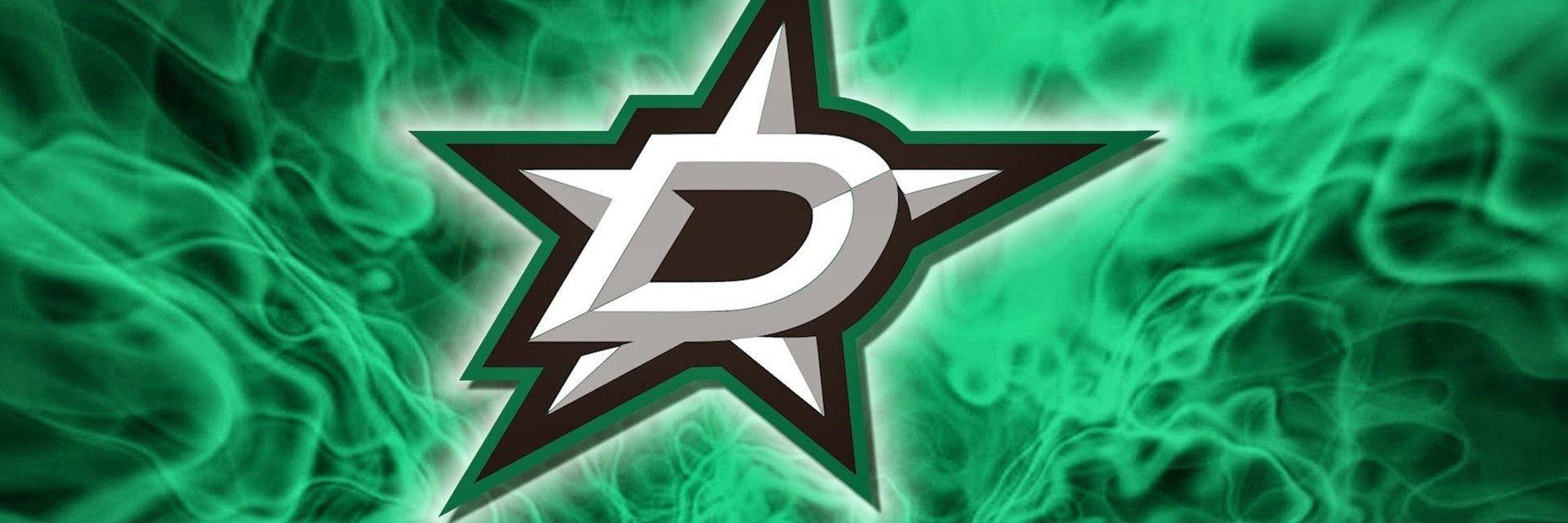 Dallas Stars Fans banner