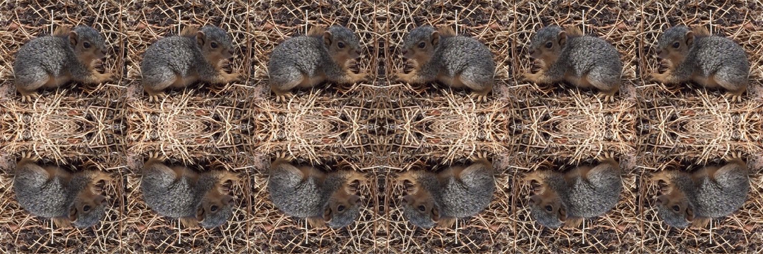 ProbablyFact's profile banner image