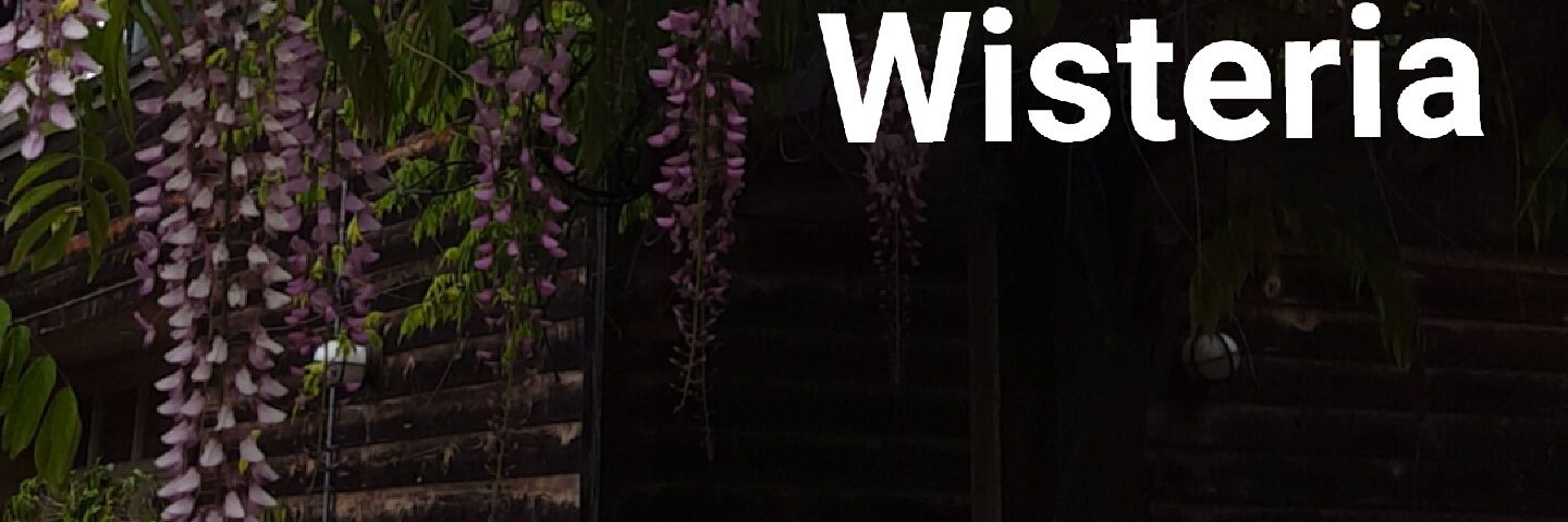 Jayogeezy's profile banner image