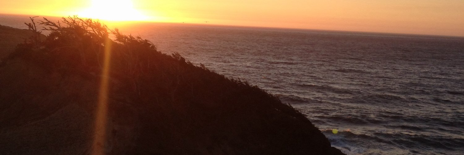 ballerinabaker's profile banner image