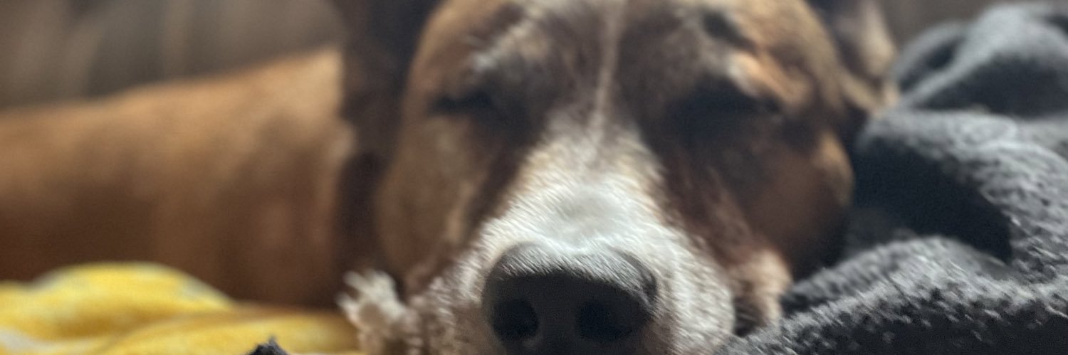 ericmartian's profile banner image