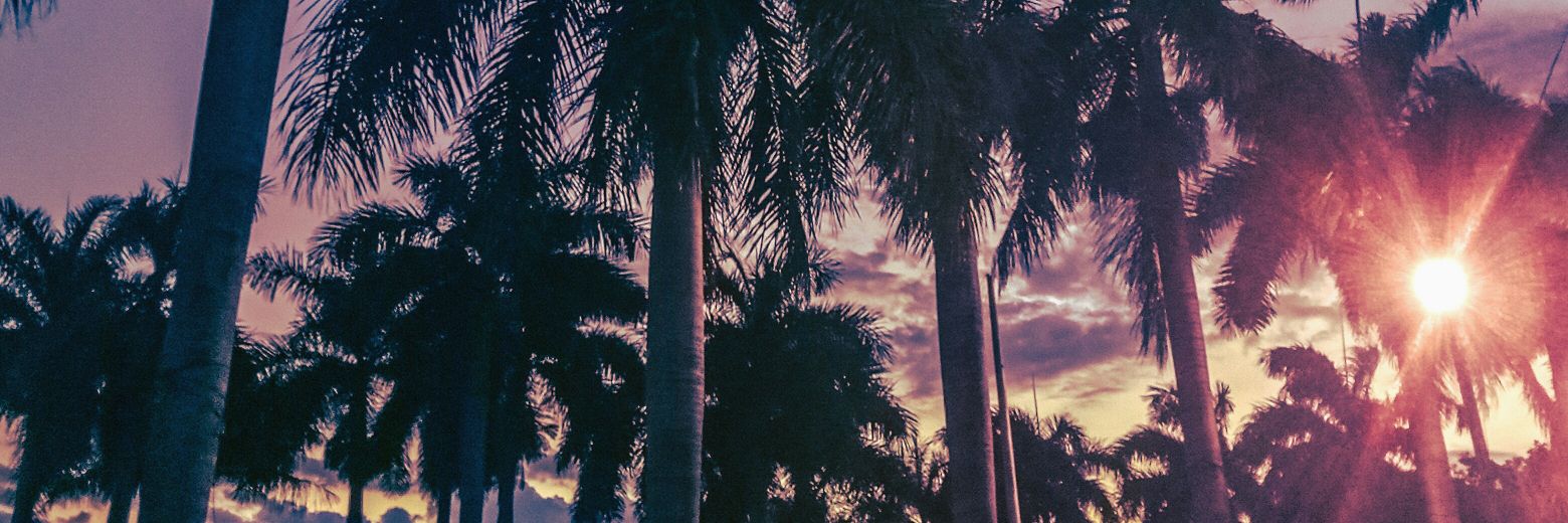 ccchellex's profile banner image