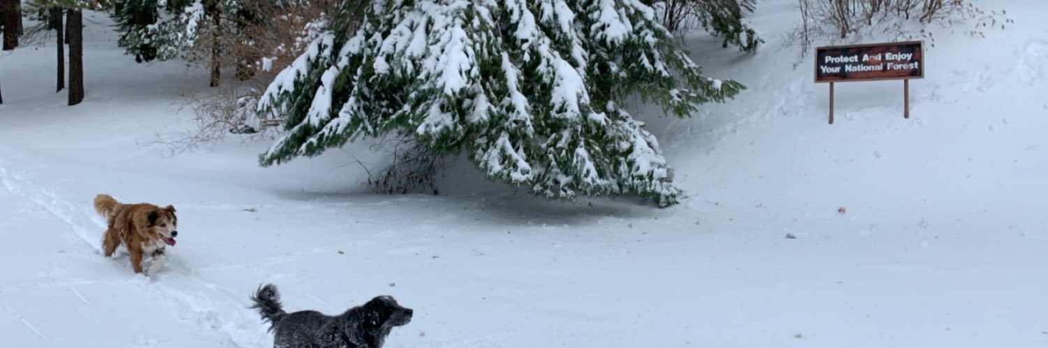 chnandlers's profile banner image