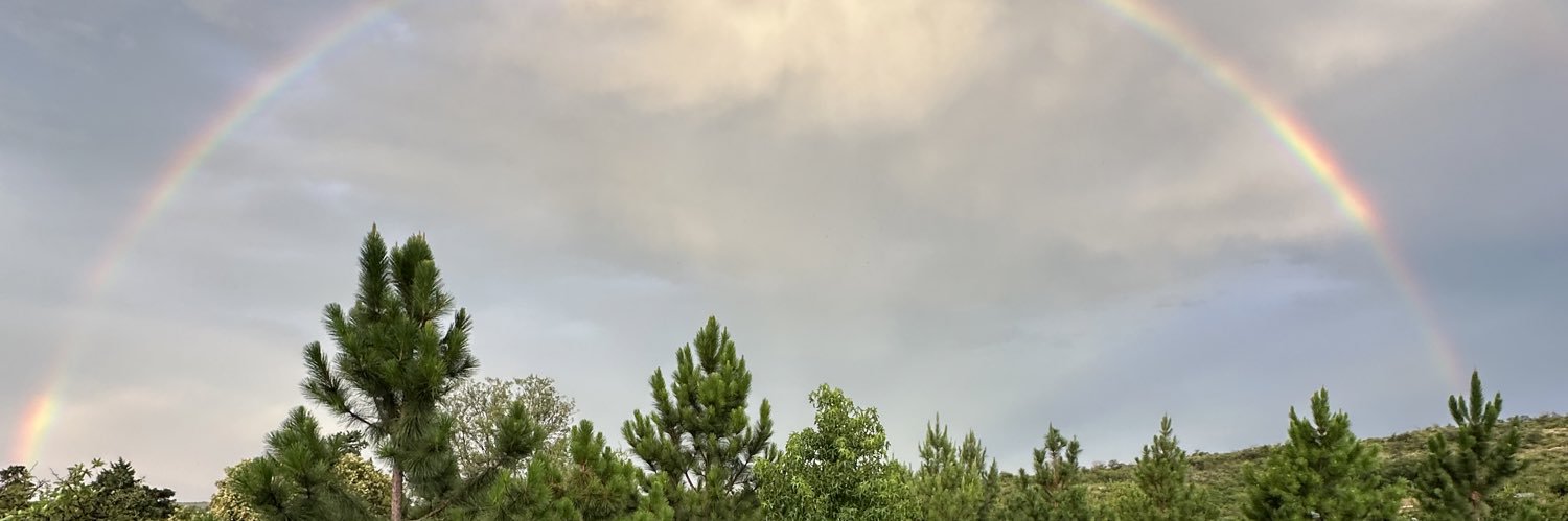 CamilaCampo7's profile banner image