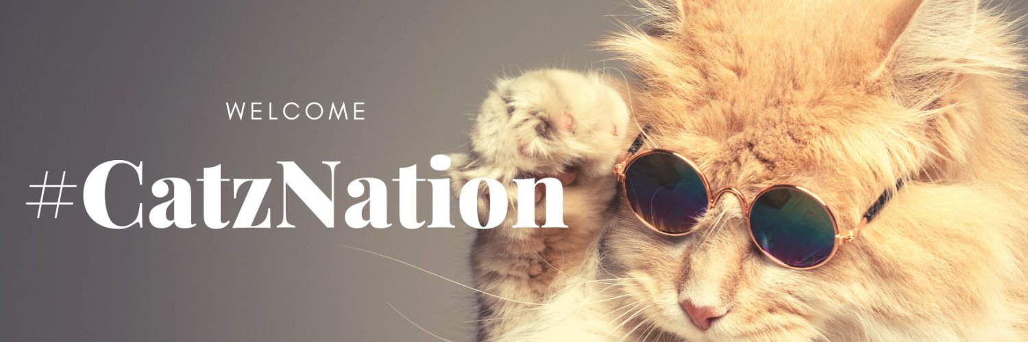 CatzINU banner