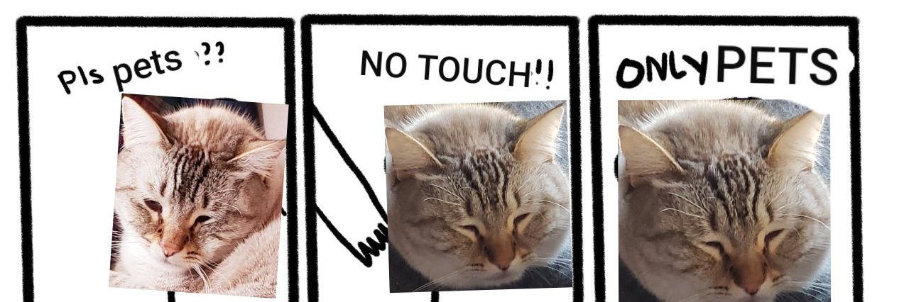 Totesmyname's profile banner image