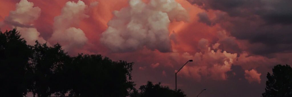 anicholedl's profile banner image