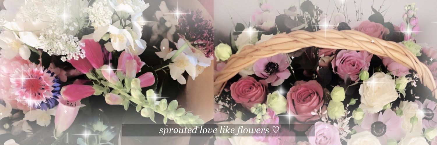 🪞🧺 banner