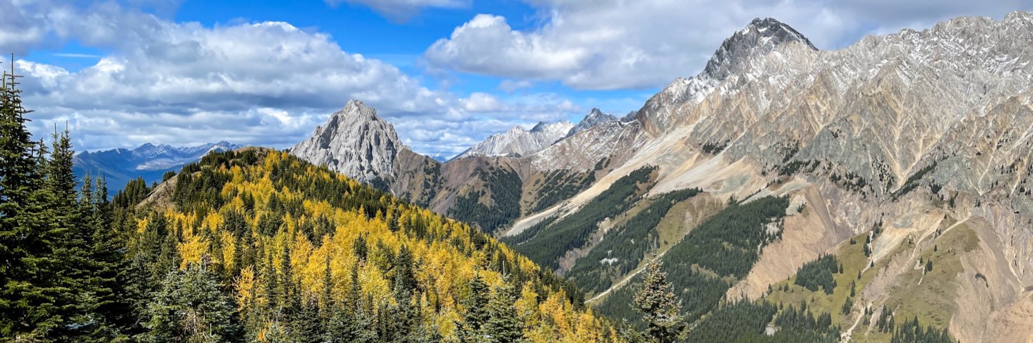 Simone🇨🇦🍁 banner