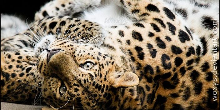 KataReynolds's profile banner image
