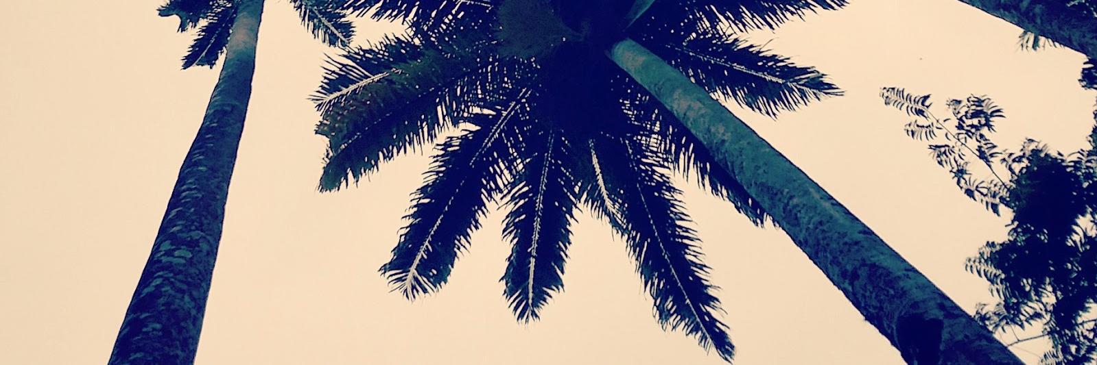 HeleneToury's profile banner image