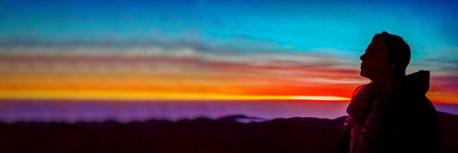 🌟Bárbara Rojas-Ayala🌟 banner