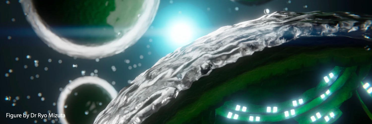 Laura T. Wey's banner
