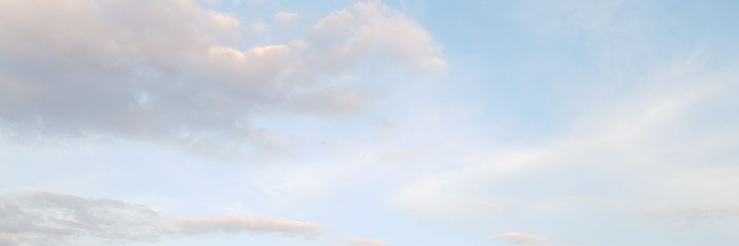 AmandaReichling's profile banner image