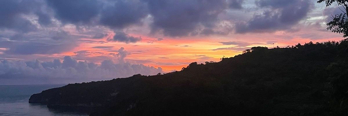 dumaflor's profile banner image