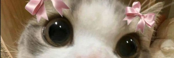 stroberwie Profile Banner