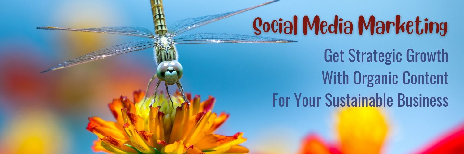 StroganDigital's profile banner image