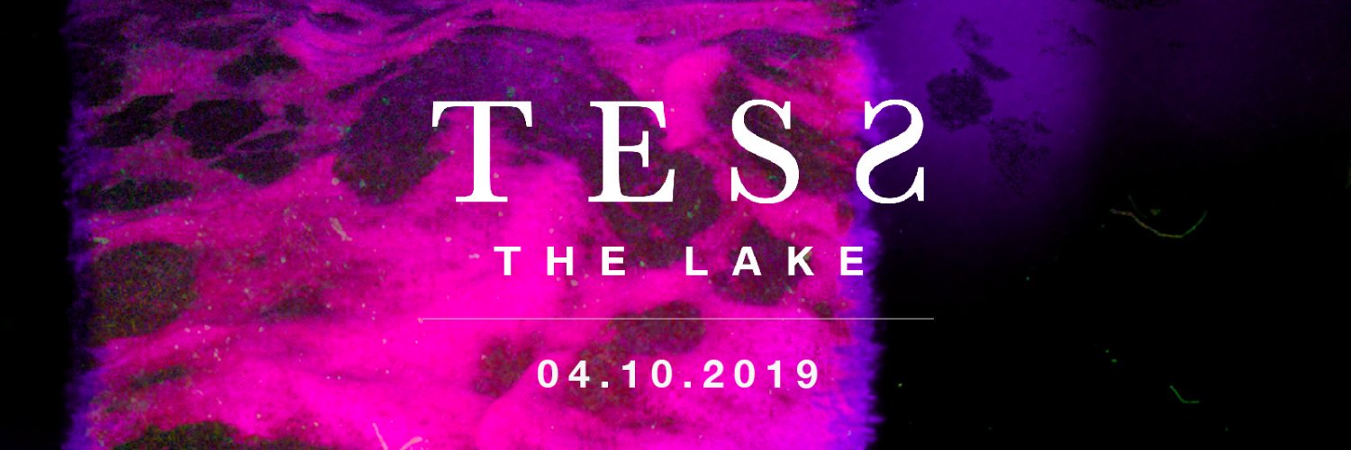 TessOfficial's profile banner image