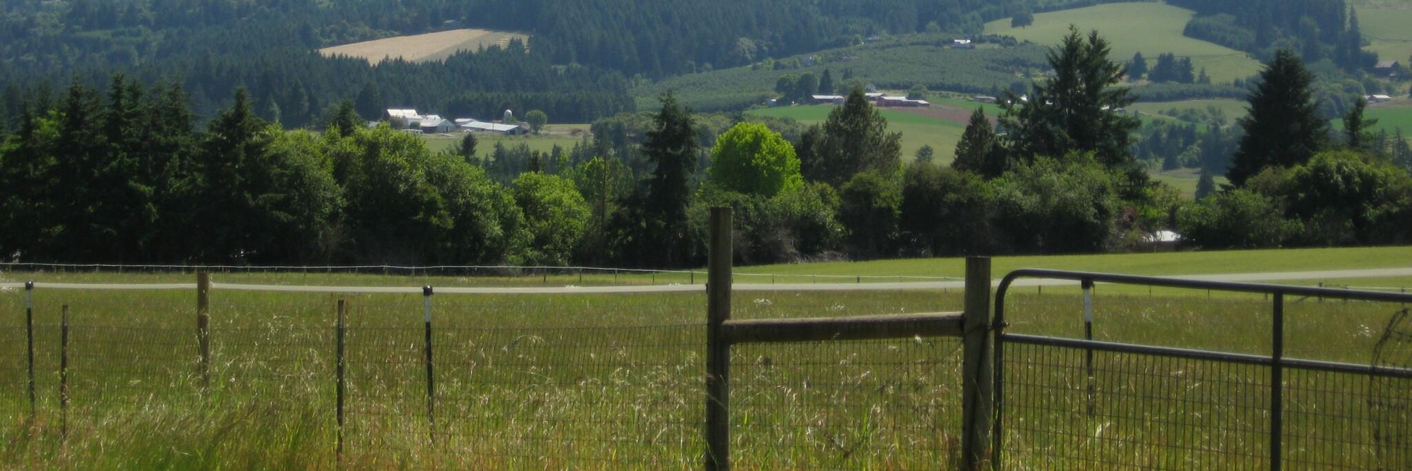 betsdavenport's profile banner image