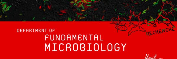DMF_UNIL Profile Banner