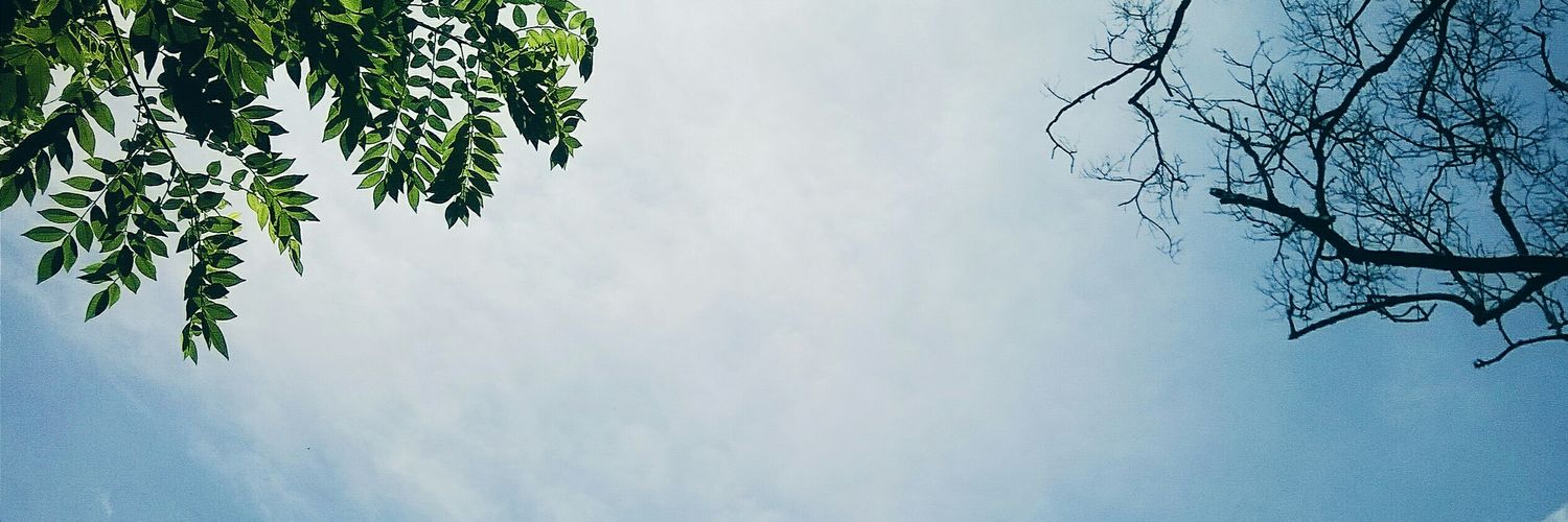kanad_ghosh_'s profile banner image