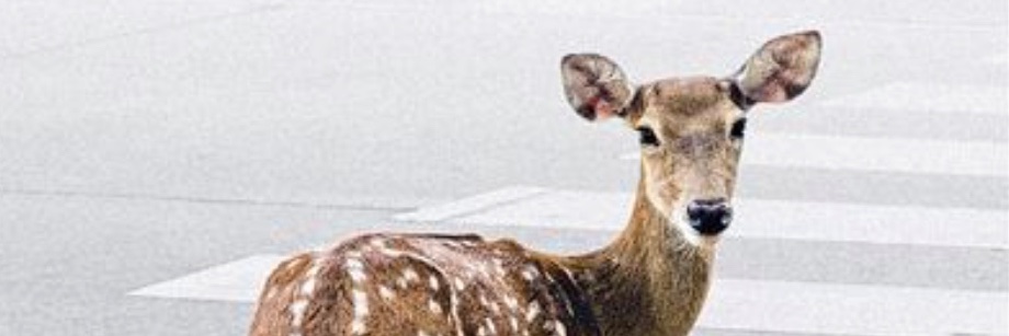 ClajaB's profile banner image