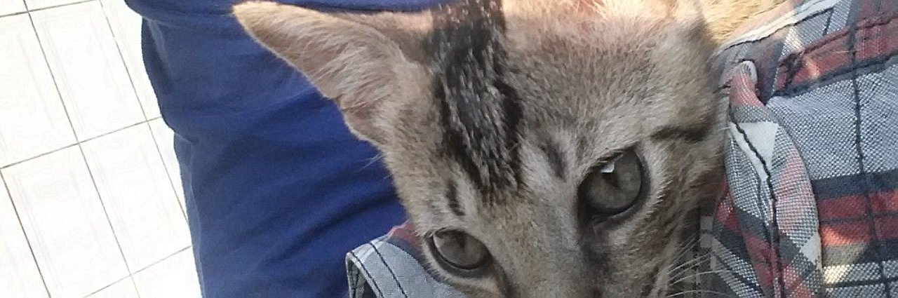 andyjefree's profile banner image