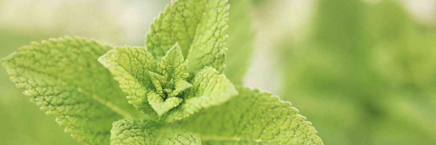 Pharmanager ing banner