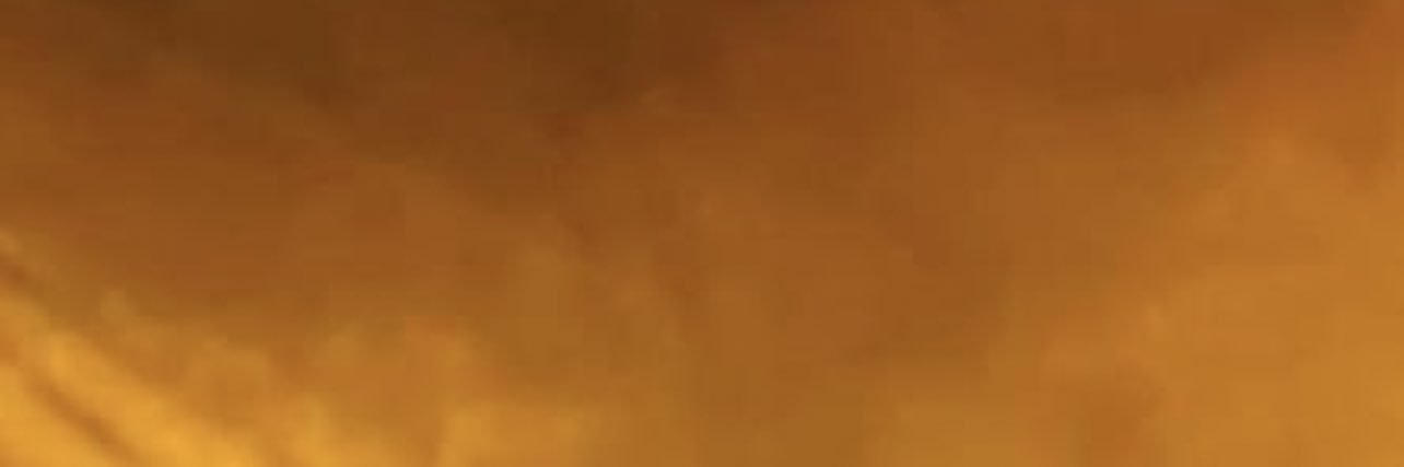 eliabertolaso banner