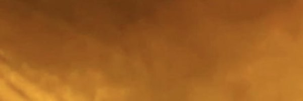 eliabertolaso Profile Banner