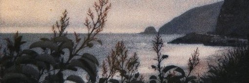 amoremus's profile banner image