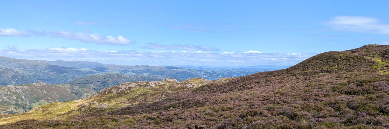 Tom Clougherty banner