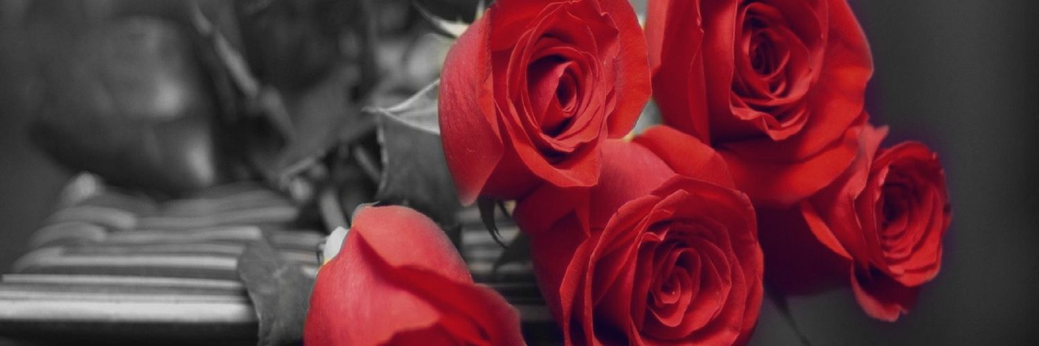 wispao1's profile banner image