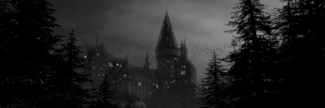 ⋆ ☾ ₊ ᴧёᴧя ࣪ ˖ banner