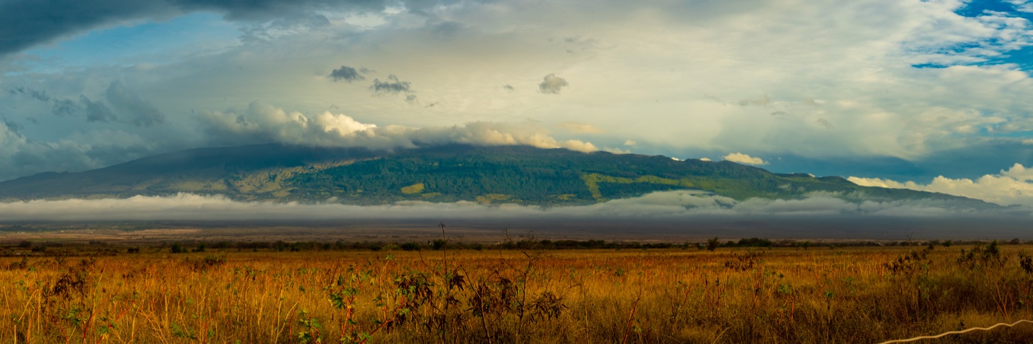Jason Martens banner