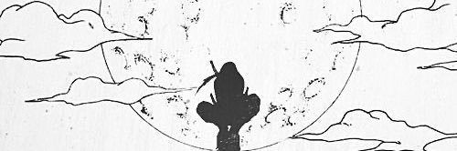 Cole Stutz banner