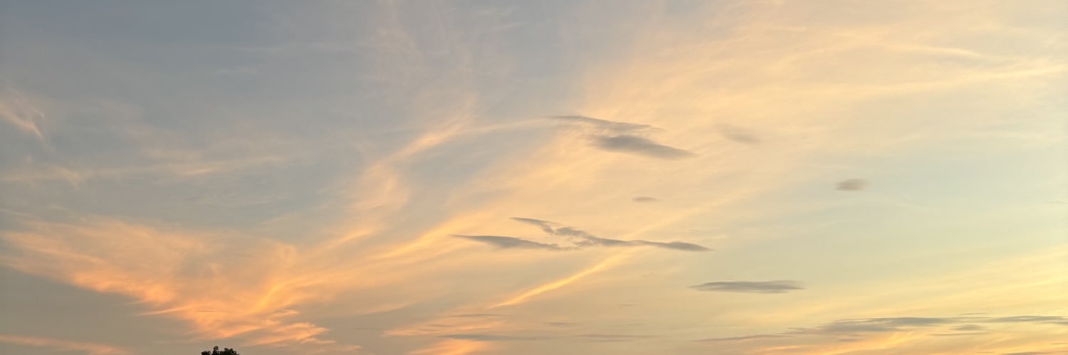 aly banner