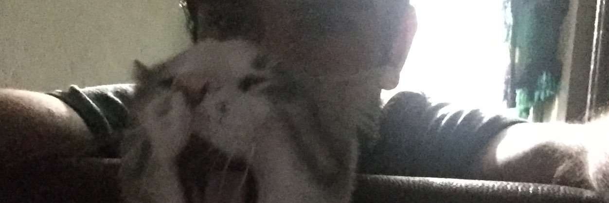 taximlee's profile banner image