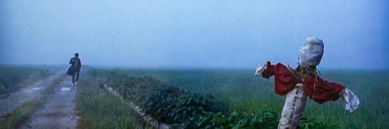 oktoES's profile banner image