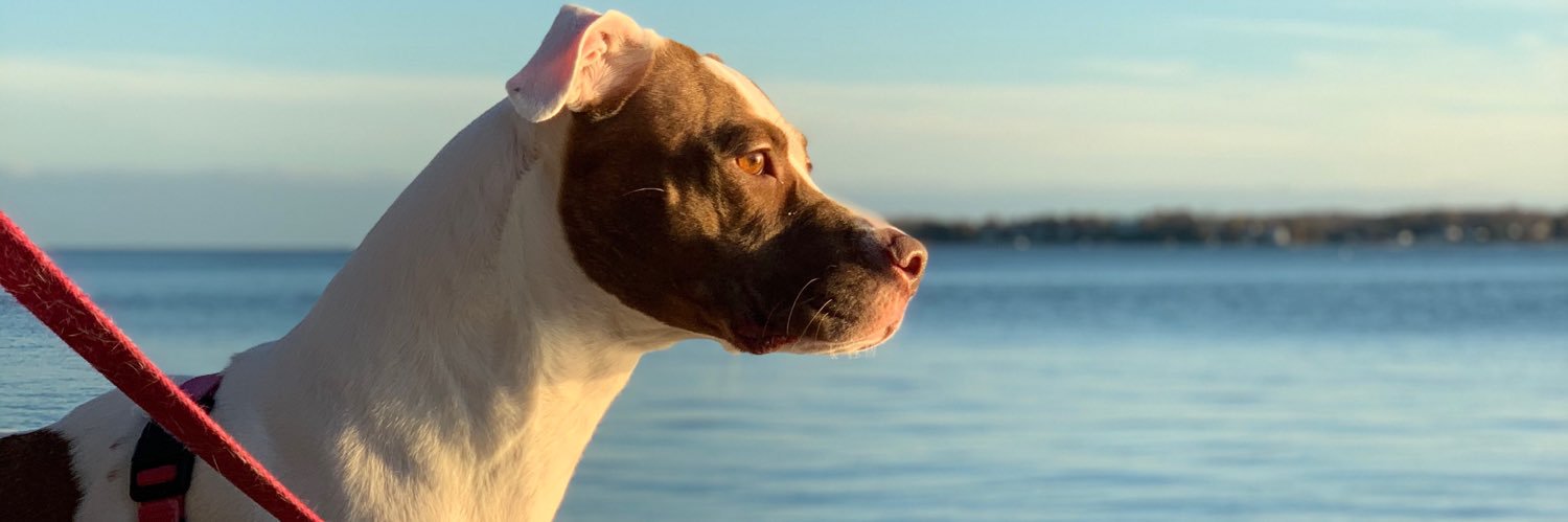 Gemma Sinclair banner