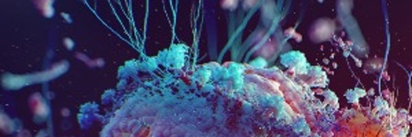 RMdSida Profile Banner