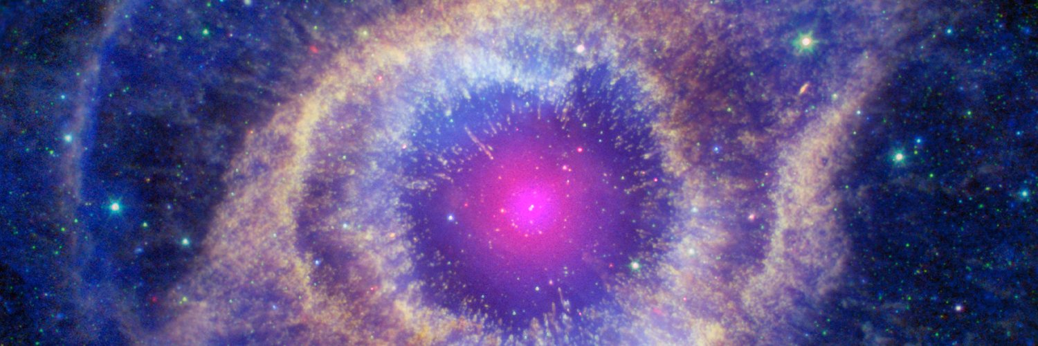 wolfseye_opal's profile banner image