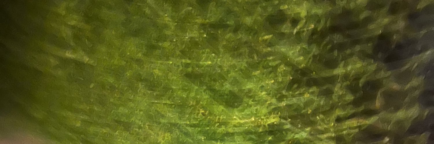 safeguardbeats's profile banner image